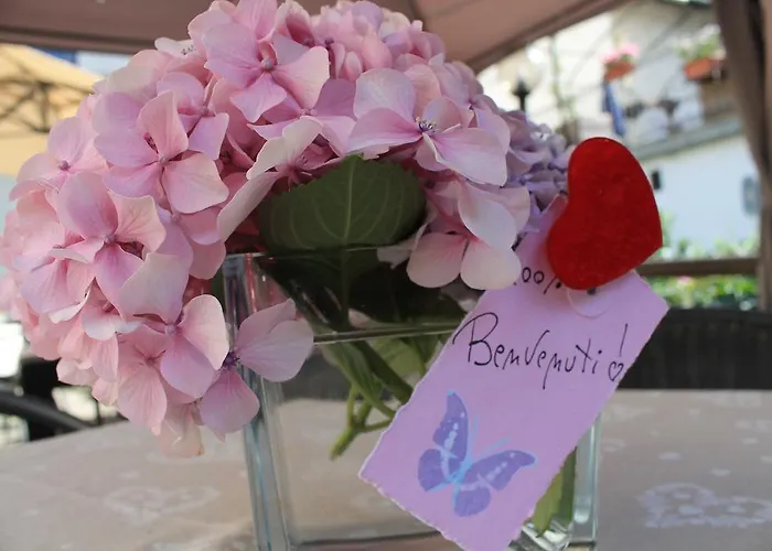 Hotel Le Coeur Du Pont Donnaz